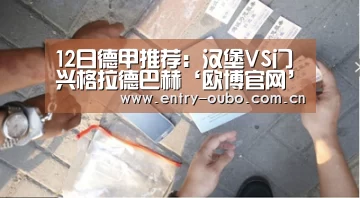 12日德甲推荐:汉堡VS门兴格拉德巴赫‘欧博官网’(图3) 欧博登入