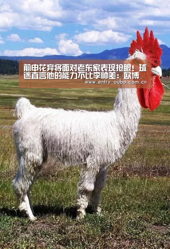 前申花弃将面对老东家表现抢眼！球迷直言他的能力不比李帅差：欧