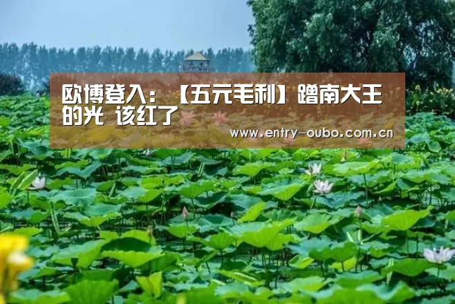 欧博登入：【五元毛利】蹭南大王的光  该红了