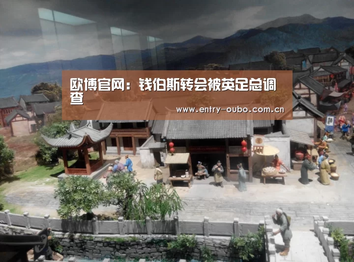 欧博官网：钱伯斯转会被英足总调查