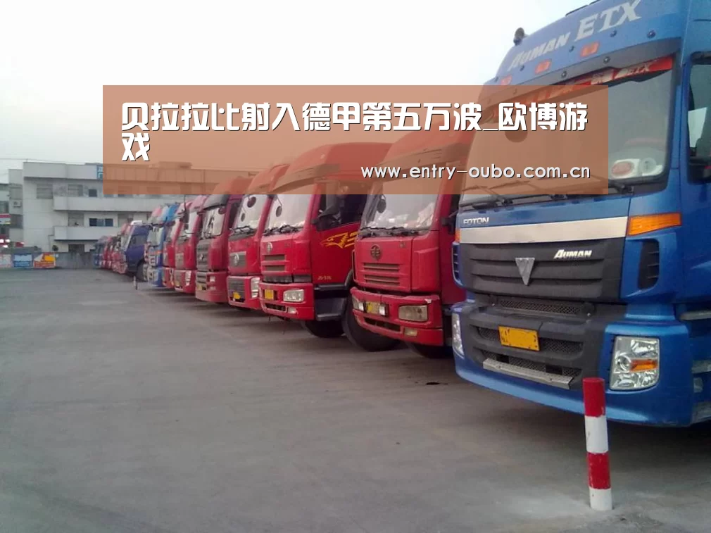 贝拉拉比射入德甲第五万波_欧博游戏